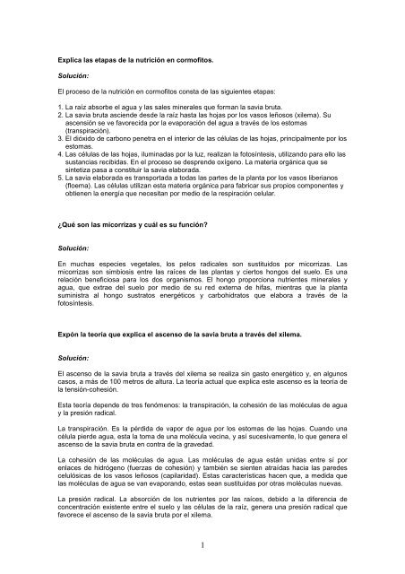 los vegetales el agua y las sales minerales elaboran
