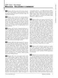 Allentown velocità datazione