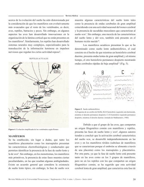 Suplemento 2 Vol 8 No 1.indd - Universidad Veracruzana