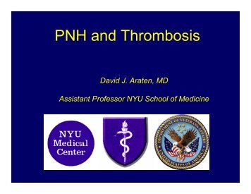 PNH and Thrombosis - Aplastic Anemia & MDS International ...