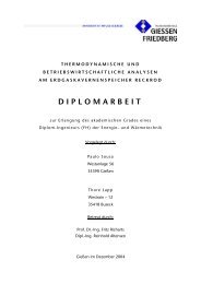 DIPLOMARBEIT - NRM Netzdienste Rhein-Main GmbH