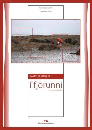 í fjörunni - Námsgagnastofnun