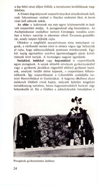 N. Szentirmay Teréz: Pozsgás növények - Magyar Kaktusz és ...