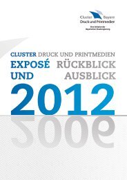 Cluster Exposé 2006-2012 - Cluster Druck und Printmedien