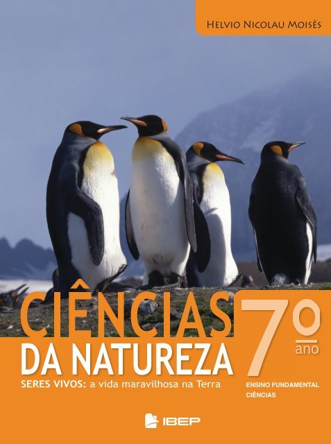 Jogada Excelente on X: Como muita gente tem dúvidas em relação a  quantidade de Poeira Estelar gasta em trocas, criamos essa tabela mostrando  quanto é gasto por troca em cada nível de