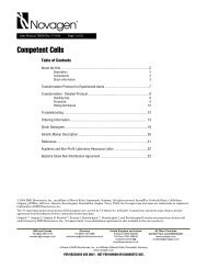 Novagen competent cells