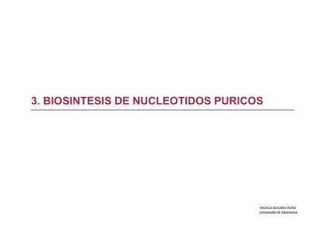 3. BIOSINTESIS DE NUCLEOTIDOS PURICOS