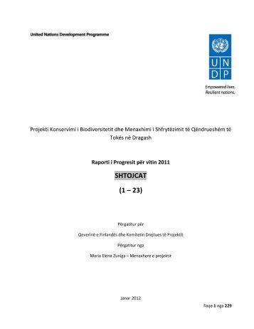 Shtojca 1 - UNDP Kosovo