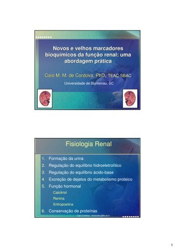 Novos e velhos marcadores bioquímicos da função renal