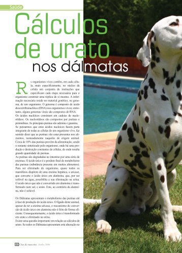 Cálculos de urato nos Dálmatas(366,84 kB) - Royal Canin