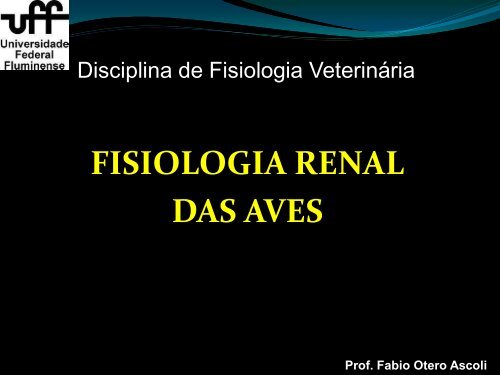 Função Renal nas aves - UFF