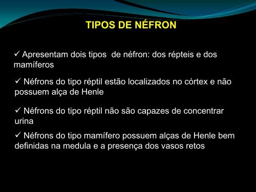 Função Renal nas aves - UFF