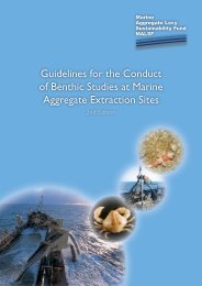 Guidelines for the Conduct of Benthic Studies at Marine Aggregate ...