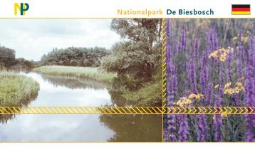 biesbosch brochure FraDui.indd - Nationale Parken