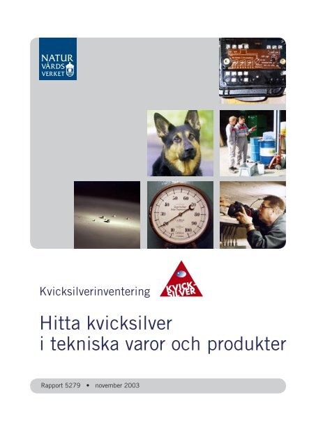 Hitta kvicksilver i tekniska varor och produkter - Naturvårdsverket