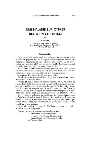 UNE MALADIE SUR CYPRÈS DUE A UN CORYNEUM