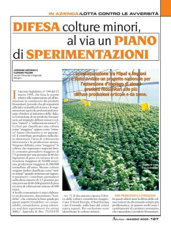 DIFESA colture minori, al via un PIANO di ... - Ermes Agricoltura