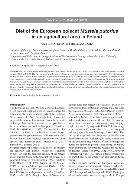 Diet of the European polecat Mustela putorius in an agricultural area ...