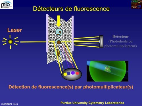 filtre - incommet