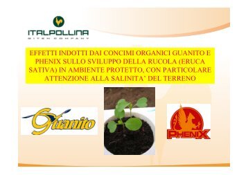 Prova Rucola Per Sito.pdf - Italpollina