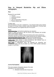 How to Interpret Borderline Hip and Elbow radiographs. - Love My Pet