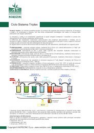 Ciclo Sistema Triplex - Nord Zinc