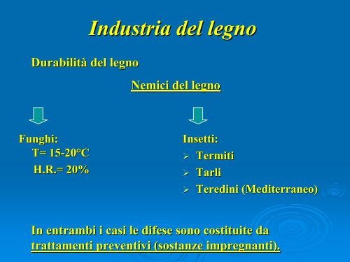 La struttura del legno - Dmfci - Università degli Studi di Catania