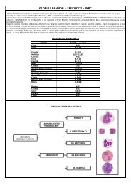 GLOBULI BIANCHI – LEUCOCITI – WBC - Home Page - vetlabor