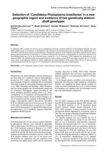 Detection of 'Candidatus Phytoplasma brasiliense' in a new ...