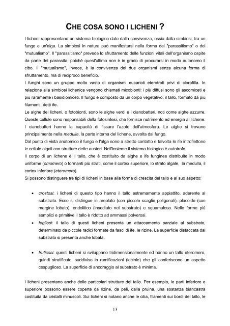 disponibile in pdf - italic