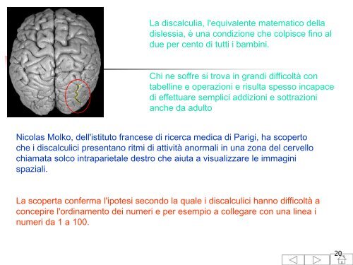 DSA_tratto_dalla_Consensus_Conference.pdf - Studio in mappa