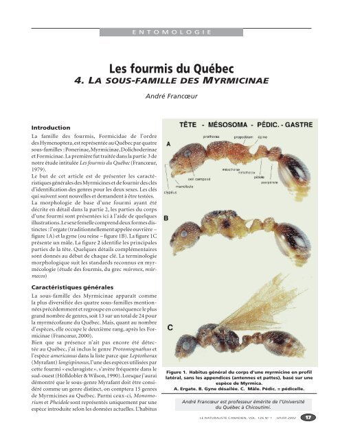 Les fourmis du Québec - Entomofaune du Québec