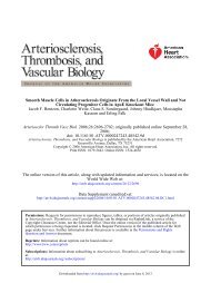 Smooth Muscle Cells in Atherosclerosis Originate - Arteriosclerosis ...