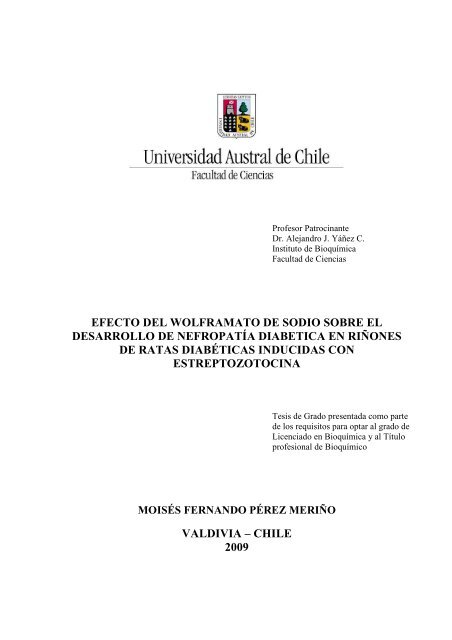 mecanismo del modelo de diabetes inducida por aloxano y estreptozotocina