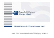 Messwertstatus & OBIS-Kennzahlen Gas - DVGW - Deutscher ...