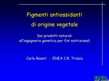 Pigmenti antiossidanti di origine vegetale - Enea