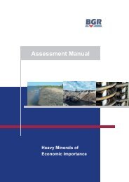 Assessment Manual: Heavy Minerals of Economic Importance ... - BGR