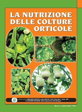 la nutrizione delle colture orticole la nutrizione ... - Ermes Agricoltura