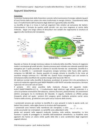 Appunti di Biochimica - ITAS V.Luparia