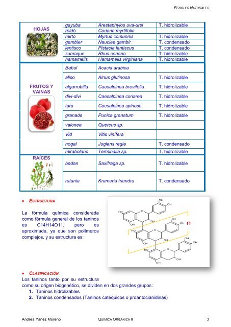 1. Fenoles Naturales AMYM.pdf - q-organicauce