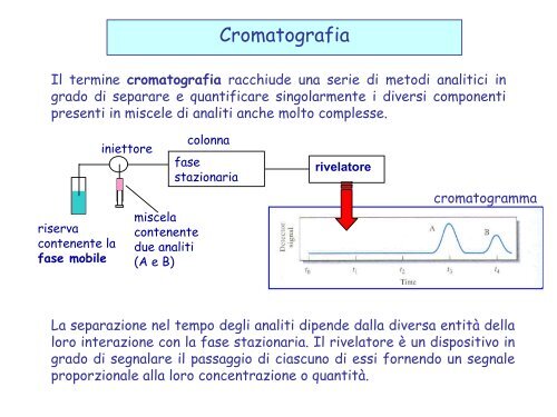 Cromatog van deemter