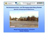 Hochwasserschutz- und Ökologieprojekt Murg Rastatt