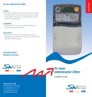 Smart-Meter - Stadtwerke Werl GmbH