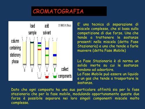 olli essenziali - Corso di laurea in tecniche della prevenzione nell ...