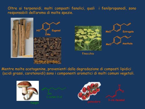 olli essenziali - Corso di laurea in tecniche della prevenzione nell ...