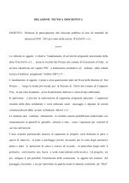 ASP C 11 Proposta progettuale - San Protaso Relazione Tecnica