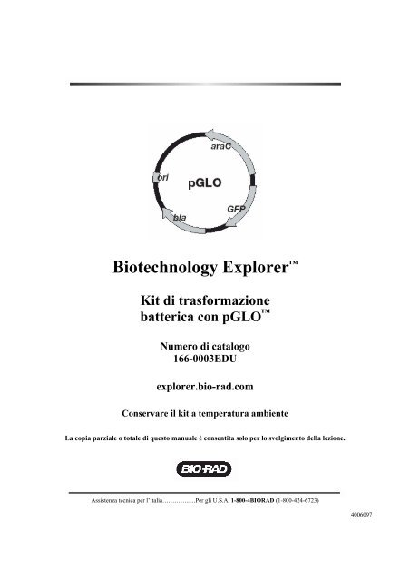 Biotechnology Explorer™ Kit di trasformazione batterica ... - Bio-Rad