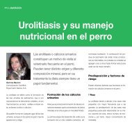 urolitiasis y su manejo nutricional en el perro
