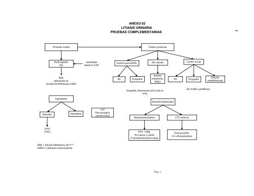 GUIA DE MANEJO DE UROLITIASIS - EsSalud