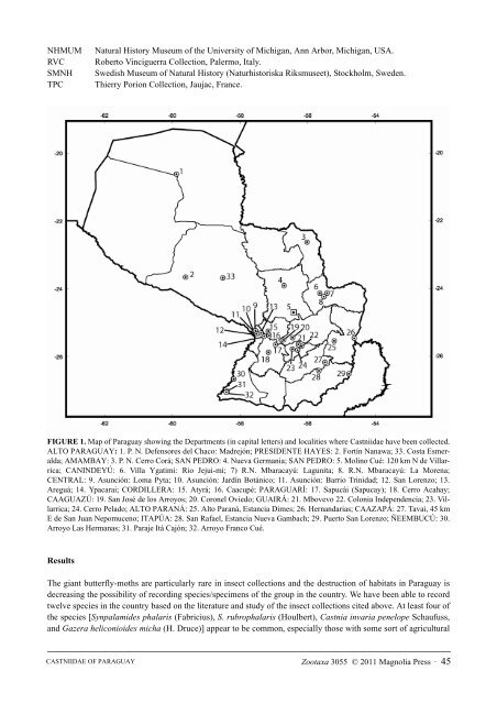 A synopsis of the Castniidae (Lepidoptera) of ... - FAUNA Paraguay